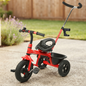 Kids 2 in 1 Baby Tricycle Ride-On Toy