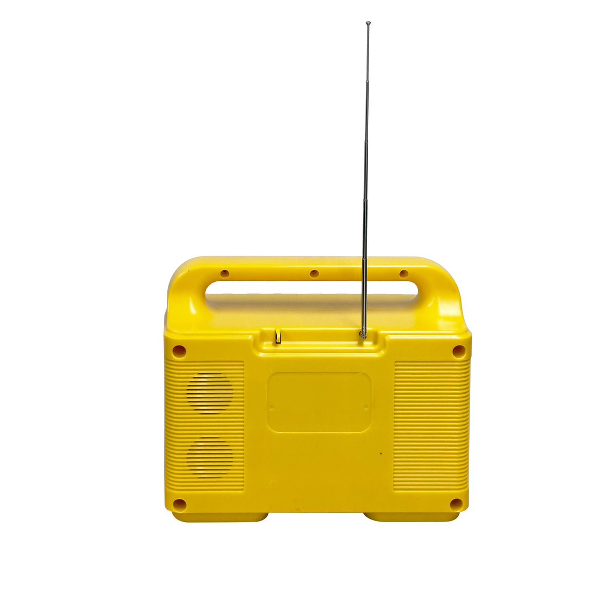 Portable Mini Solar Panel Kit with LED Torches and FM Radio
