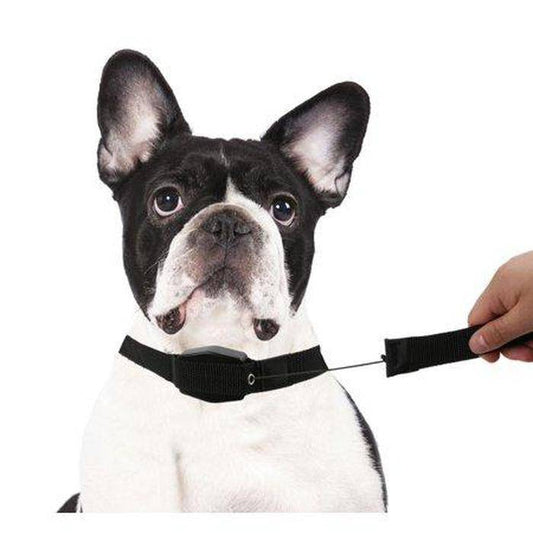 Magnetic Retractable 2 in 1 Telescopic Dog Leash and Collar 1.4m